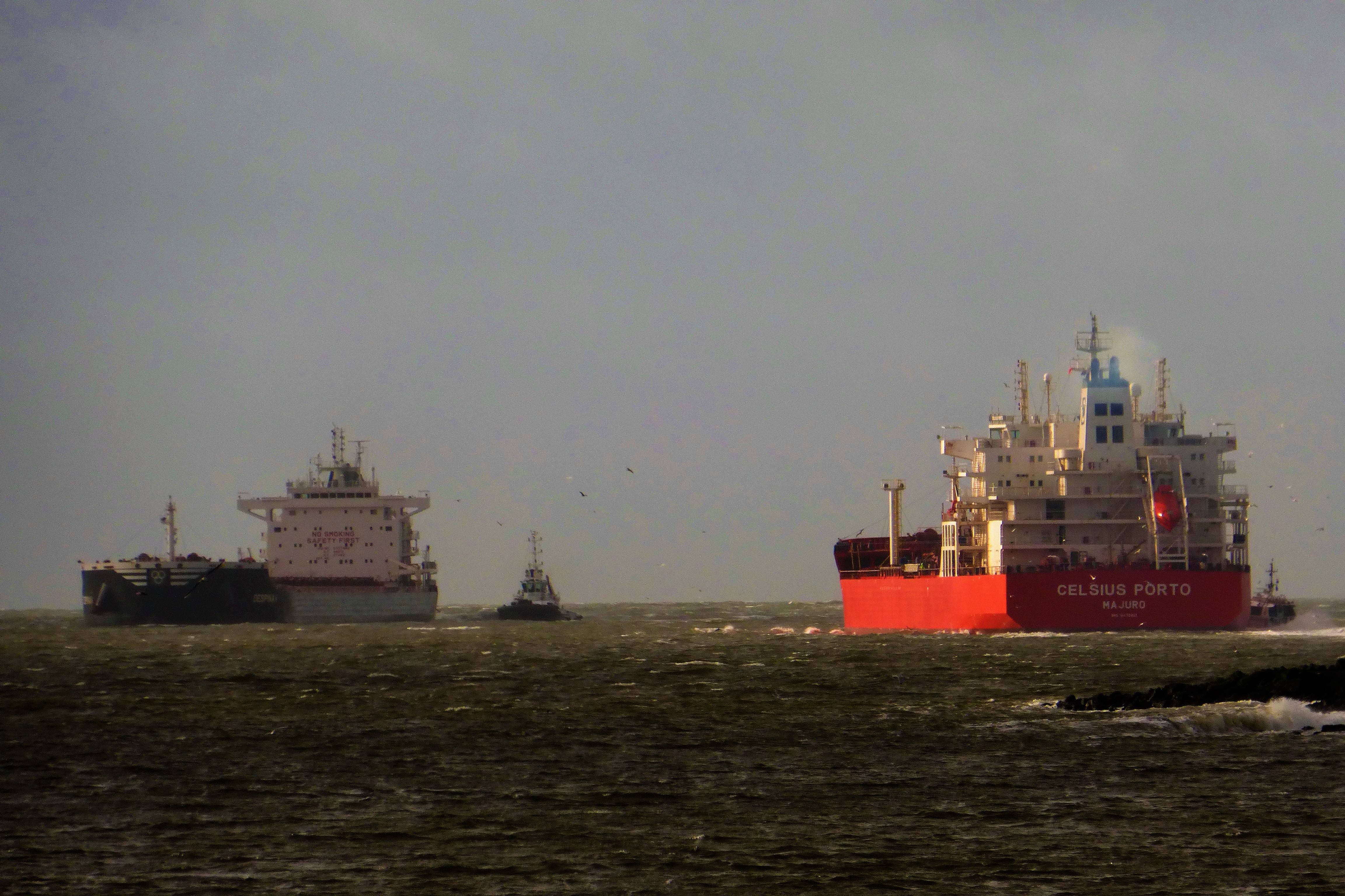 Pieren IJmuiden   29-01-20 